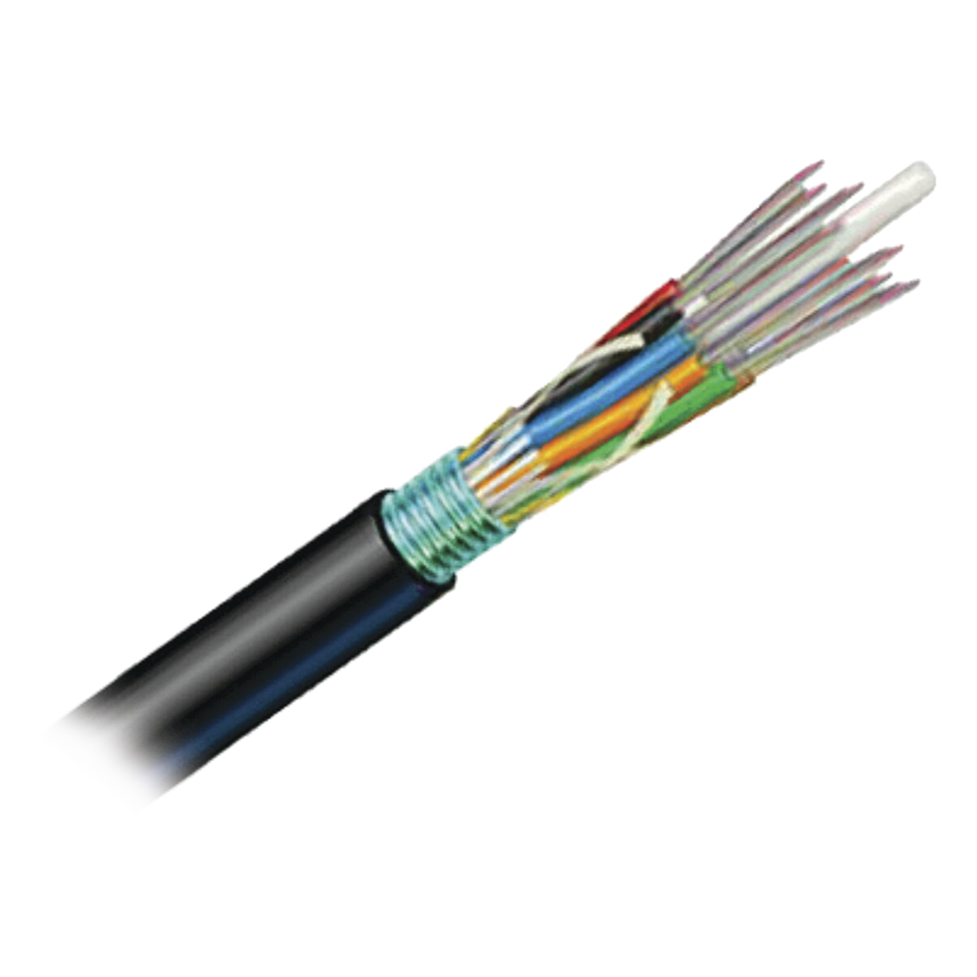 Cable de Fibra Óptica / 12 Hilos / OSP / Monomodo OS2 / MDPE / 1 Metro (3.28 Pies) — SIEMON · SKU 9PE8C012G-E201A