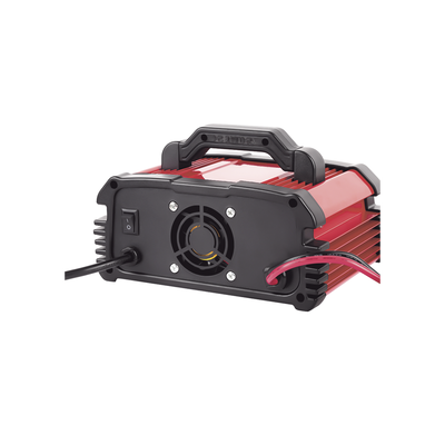 Cargador de Baterías / 12 o 24 Vcc / hasta 250 Ah / 25 A / Display LCD 