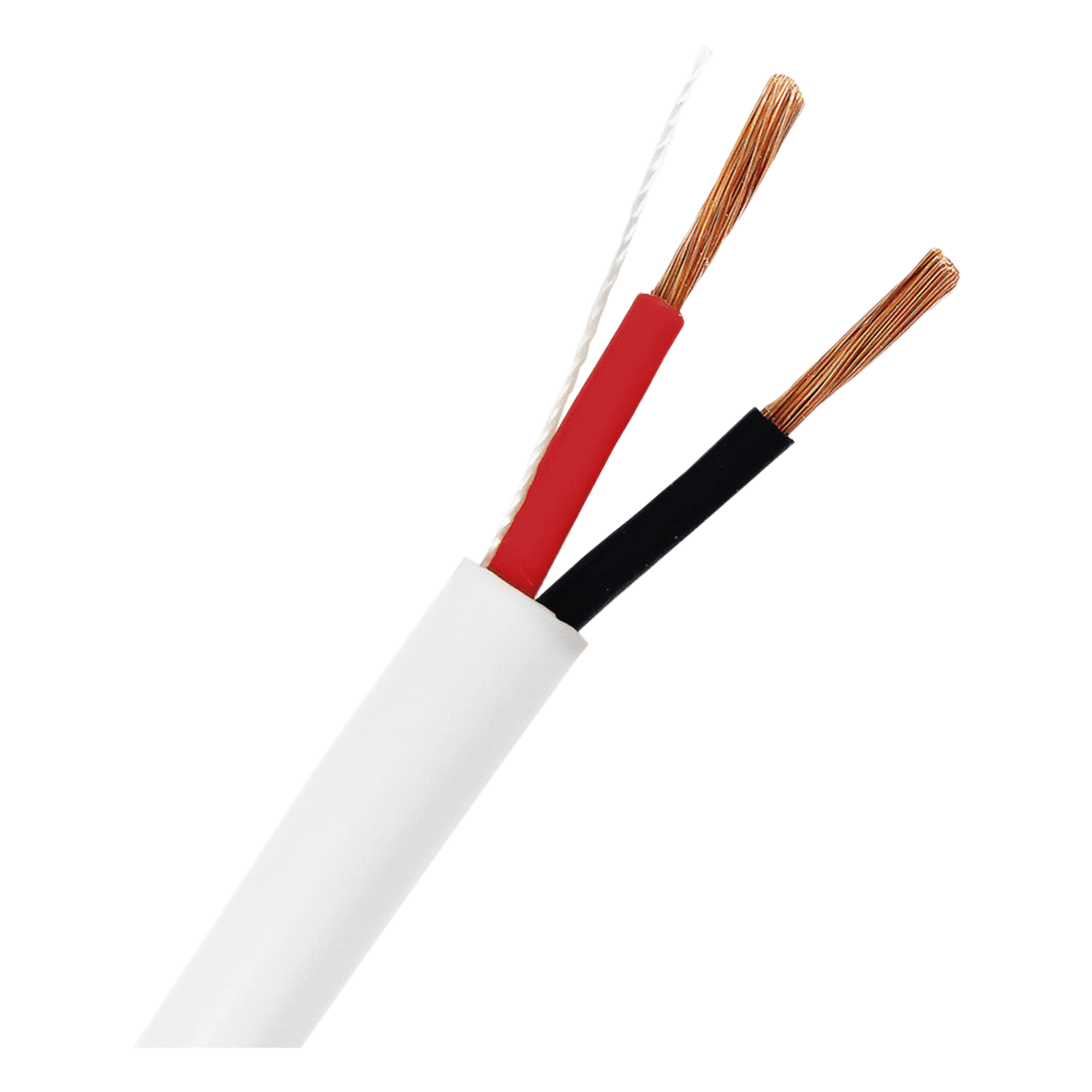 Cable para Bocina / 2x12 AWG / Libre de Oxígeno / 152 m (500 ft) / CL2 / 300V / Blanco — EPCOM PROAUDIO · SKU EP-1202/500
