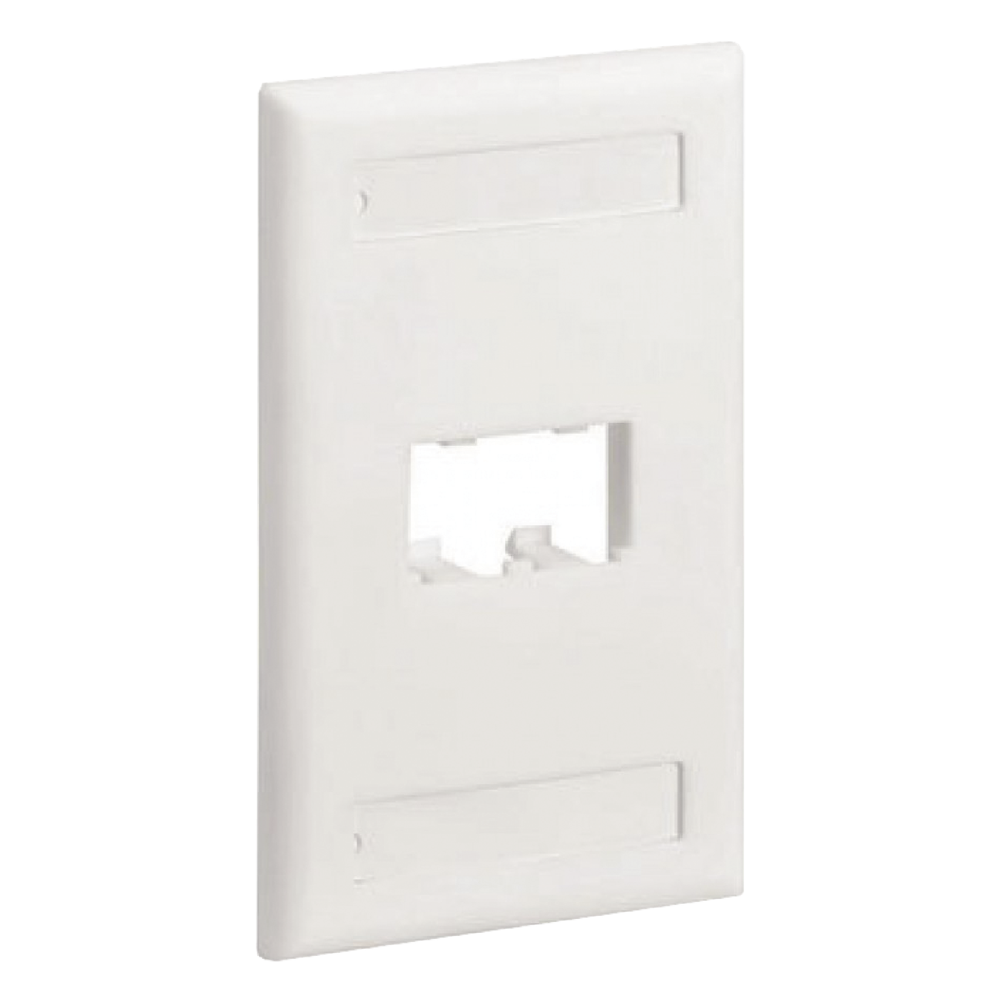 Placa de Pared Vertical / 2 Puertos Mini-Com / Diseño Inclinado / Con Espacios para Etiquetas / 2.75 x 4.5 pulgadas / Blanco — PANDUIT · SKU CFPL2WHY