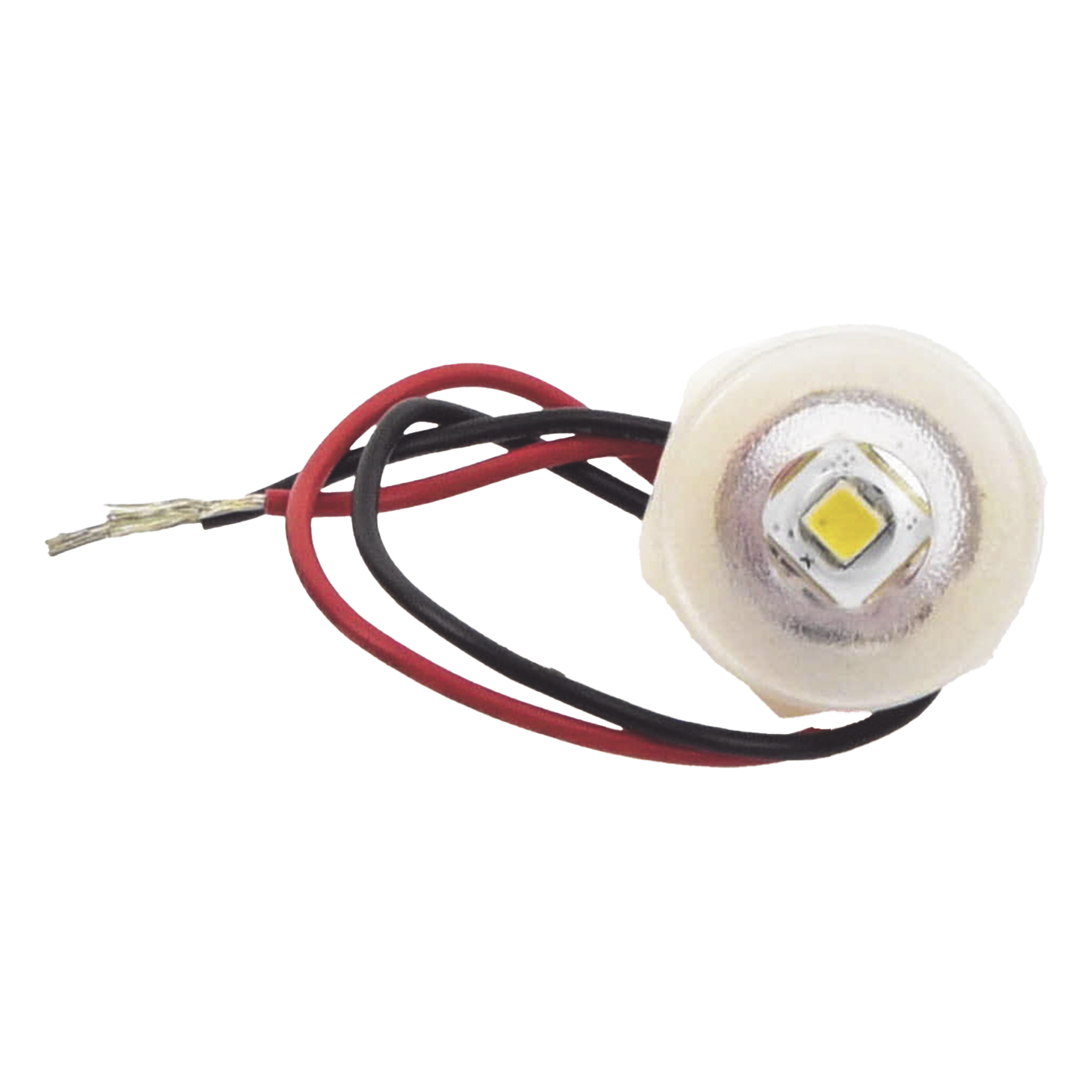 Luz LED Marina de Cortesía / 45 Lúmenes / IP67 / 10-16 VDC / Policarbonato / Interior y Exterior
