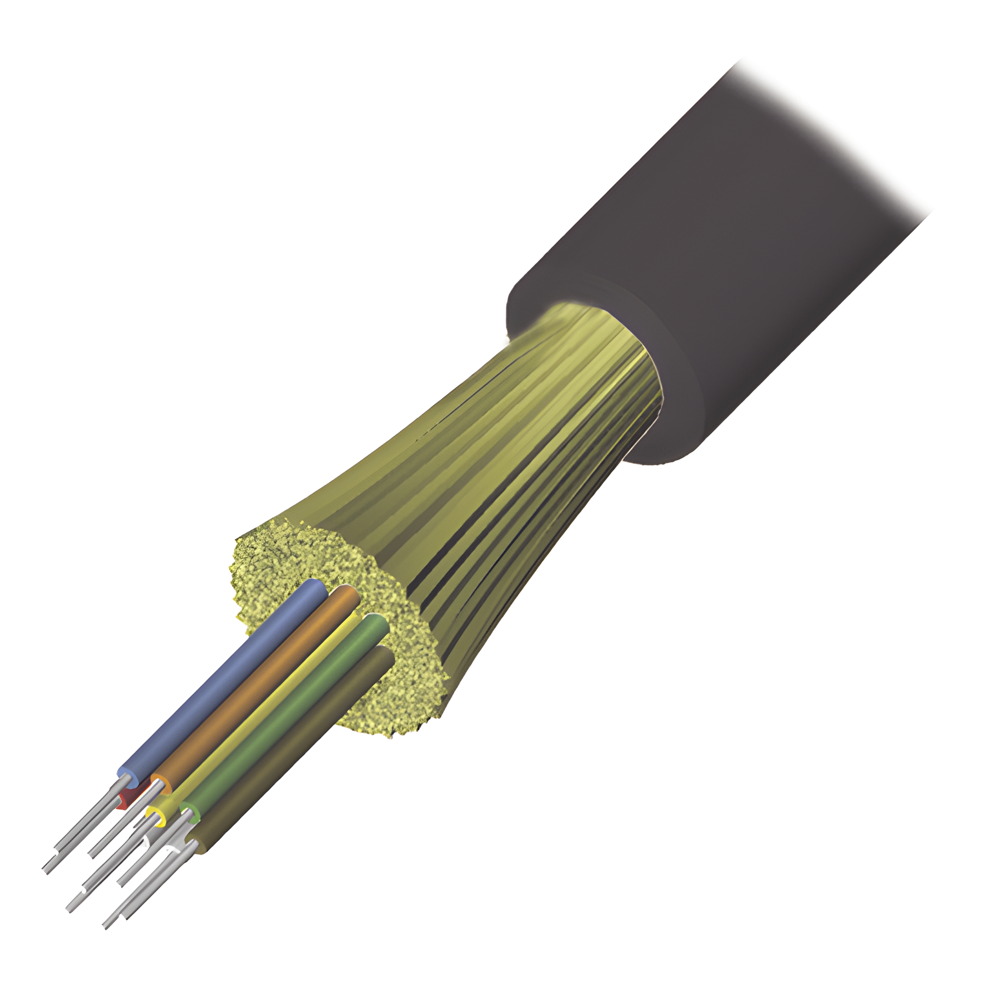 Cable de Fibra Óptica / 6 Hilos / Interior-Exterior / Tight Buffer / No Conductiva / LS0H / OM4 50/125 / 1 Metro (3.28 Pies) — SIEMON · SKU 9GD5H006D-T501M