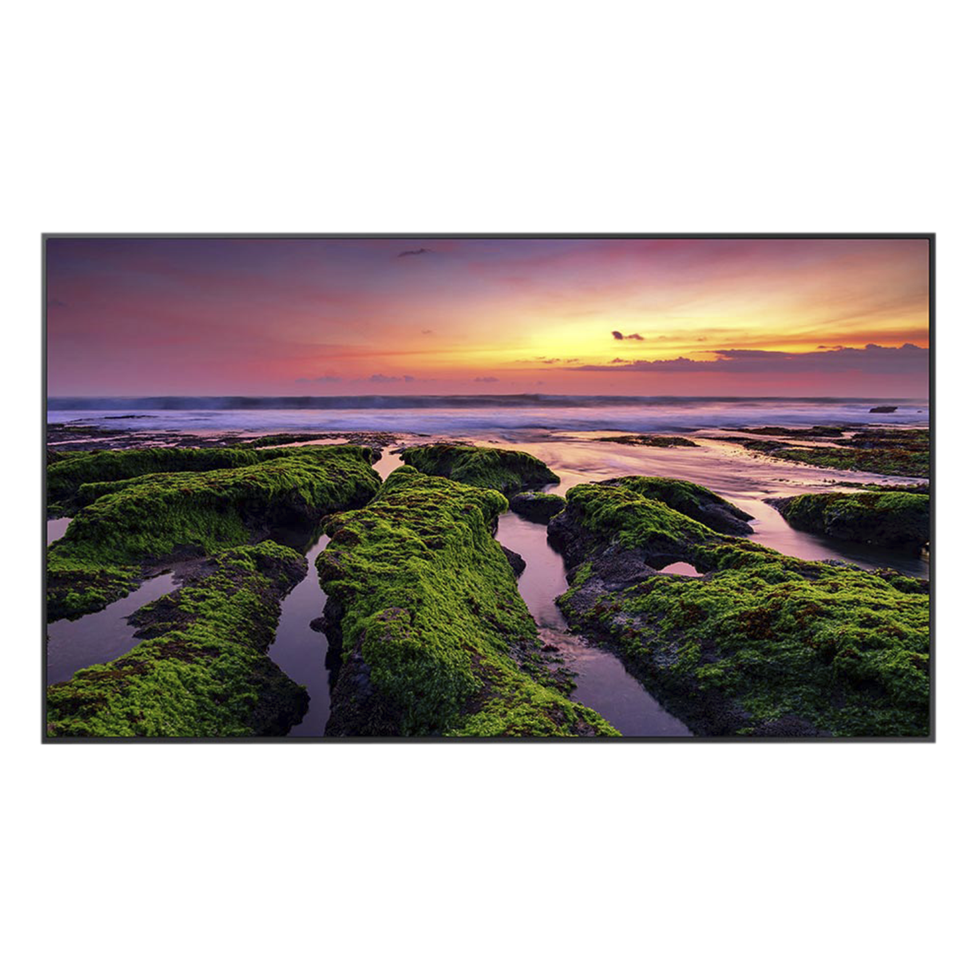 Pantalla LED Profesional / 65 Pulgadas / UHD 4K 3840x2160 / Operación 16/7 / Wi-Fi Dual Band / Bocinas 10 W / VESA 400x300 mm — SAMSUNG ELECTRONICS · SKU QB65C