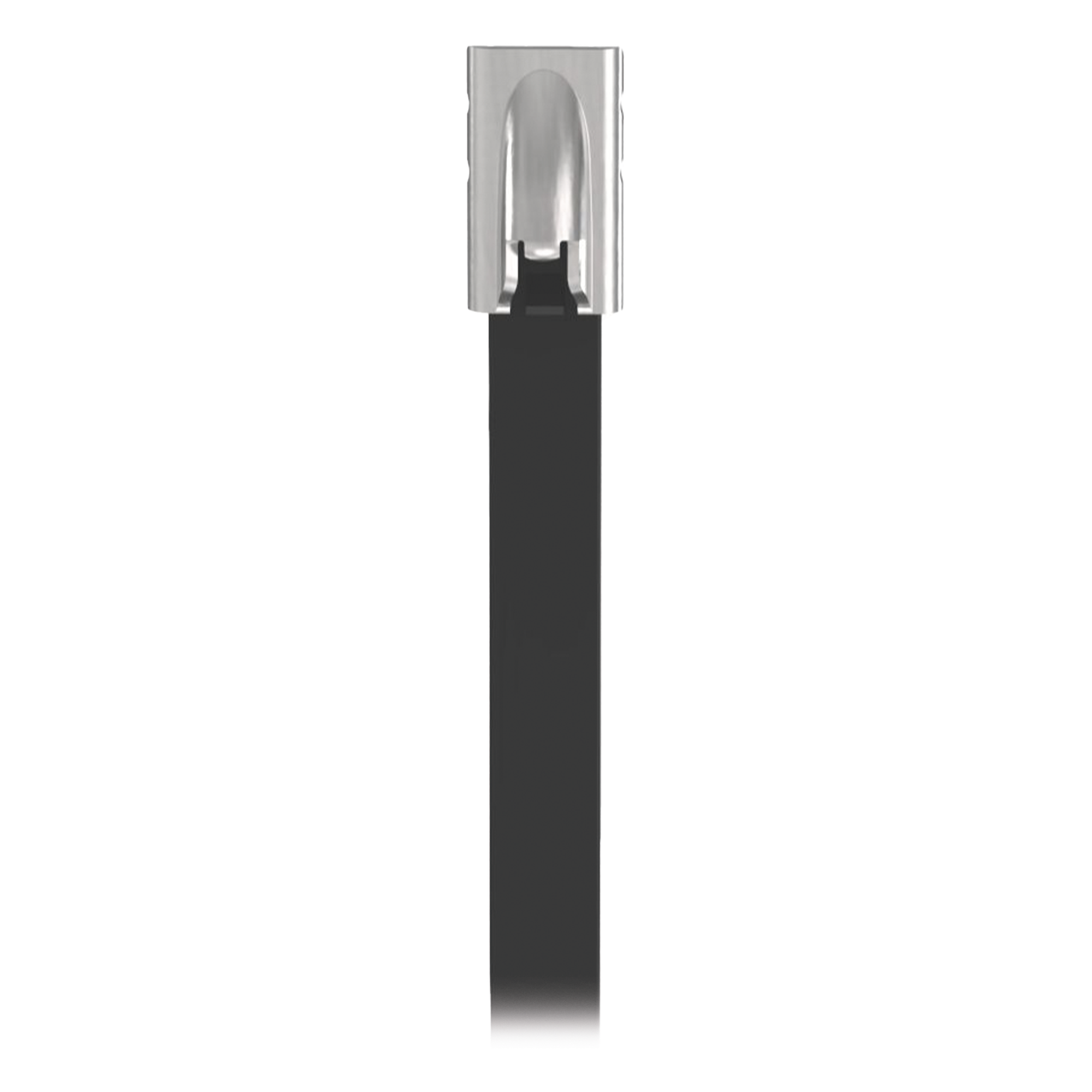 Cincho de Acero Inoxidable / Tipo 316 / Exterior UV / 521 mm x 4.6 mm / Tensión 445N / Paquete de 100 — PANDUIT · SKU MLTFC6S-CP316