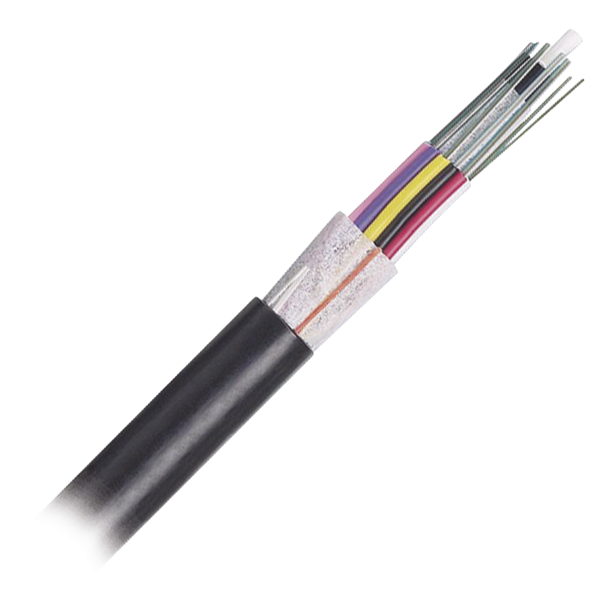 Cable de Fibra Óptica / 12 Hilos / OSP Planta Externa / Dieléctrico / OM4 50/125 / MDPE / 3.28 pies — PANDUIT · SKU FOTNZ12