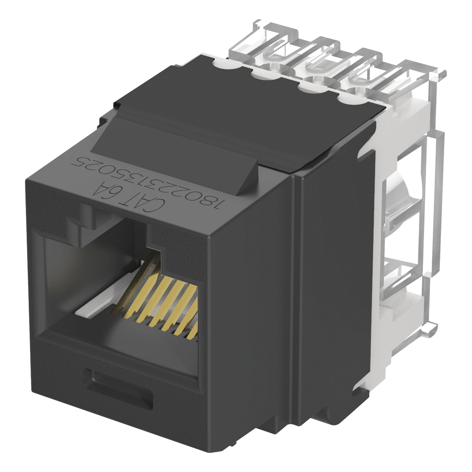 Conector Keystone / Cat 6A / 8P8C / UTP / 22-26 AWG / T568A/B / 50 μin Oro / Negro — PANDUIT · SKU NK6X88MBL