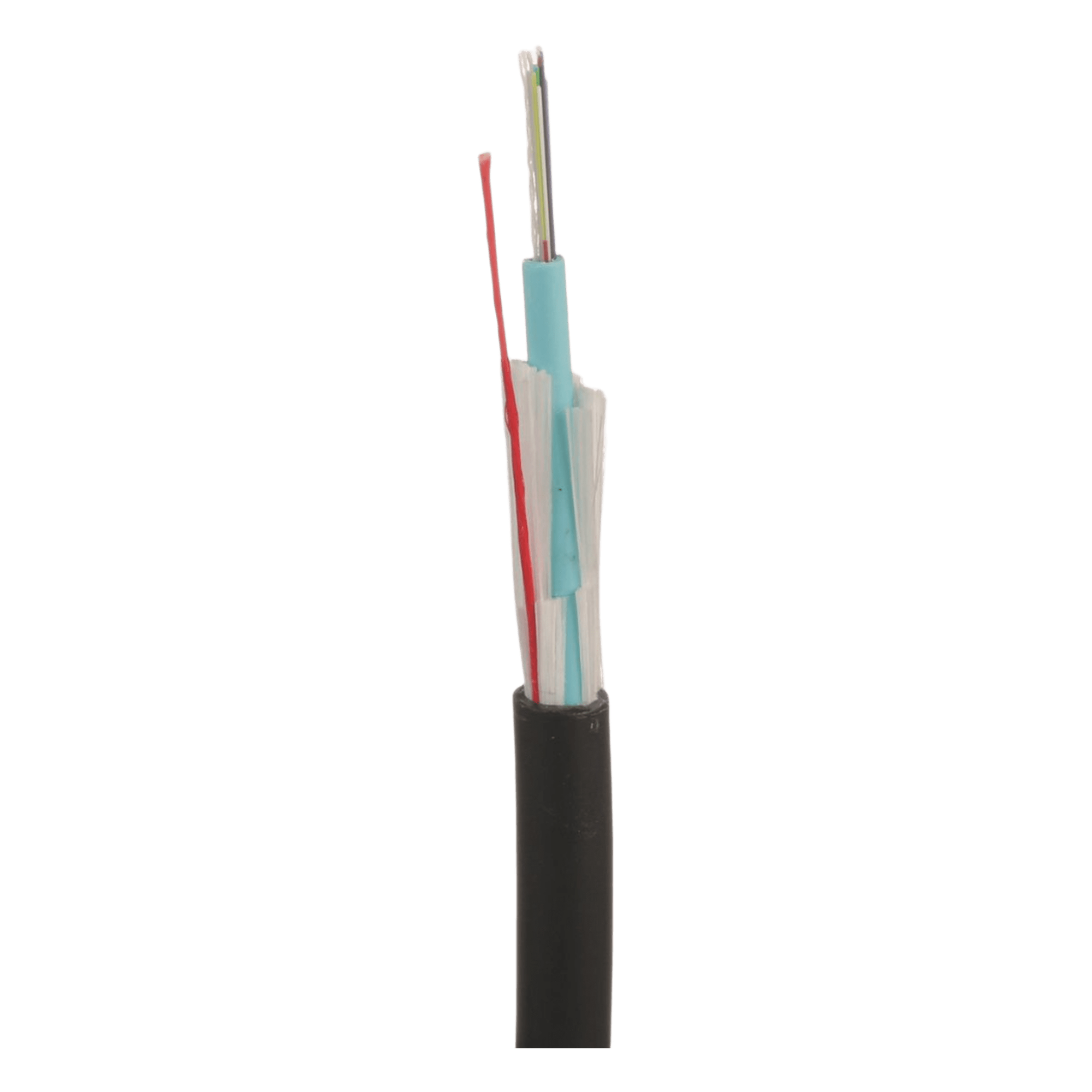 Cable de Fibra Óptica / 12 Hilos / Multimodo OM4 50/125 / Interior-Exterior / Loose Tube 250µm / Dieléctrico OFNR / 0.61 m (2 ft) Marcas — PANDUIT · SKU FOCRZ12Y
