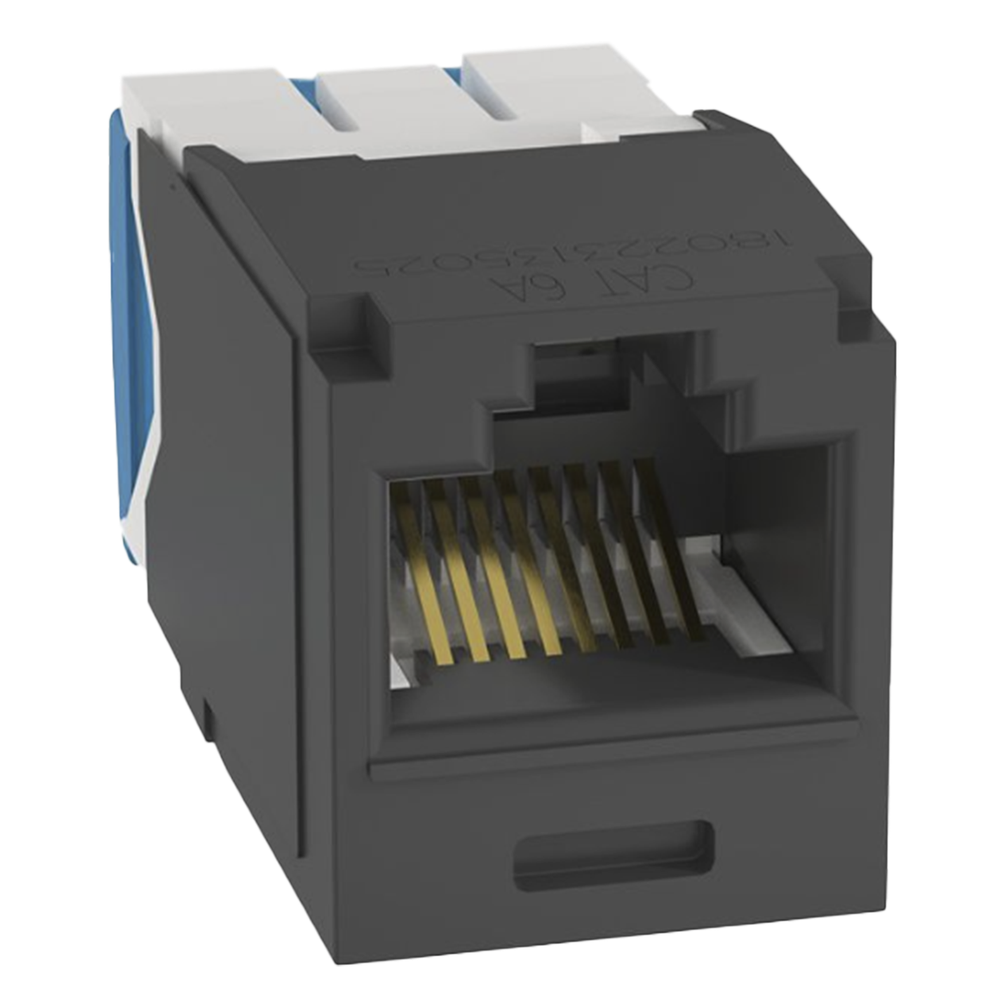 Jack RJ45 / Cat 6A / UTP / 8P8C / Tool-Free / 22-26 AWG / -10°C a 65°C / Negro — PANDUIT · SKU CJ6X88TGBL