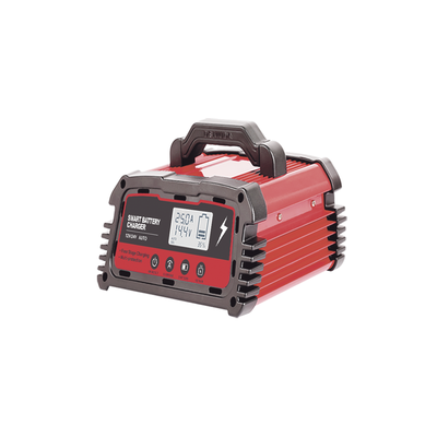 Cargador de Baterías / 12 o 24 Vcc / hasta 250 Ah / 25 A / Display LCD 