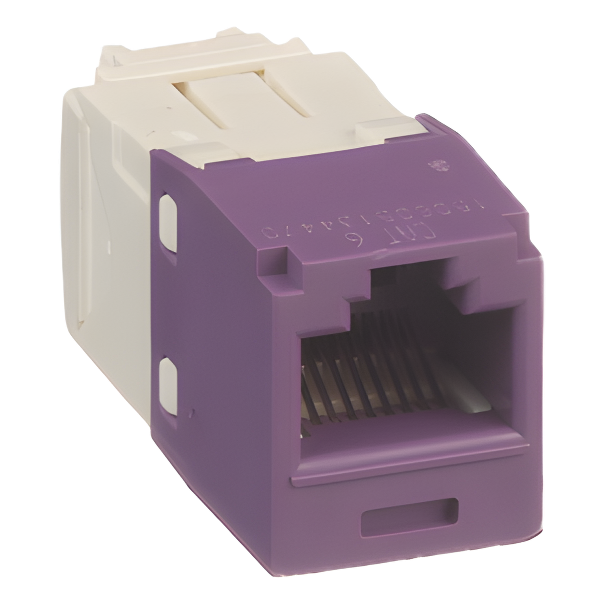 Conector Jack RJ45 / Categoría 6 / 8P8C / Sin herramienta de impacto / Violeta / -10°C a 65°C
