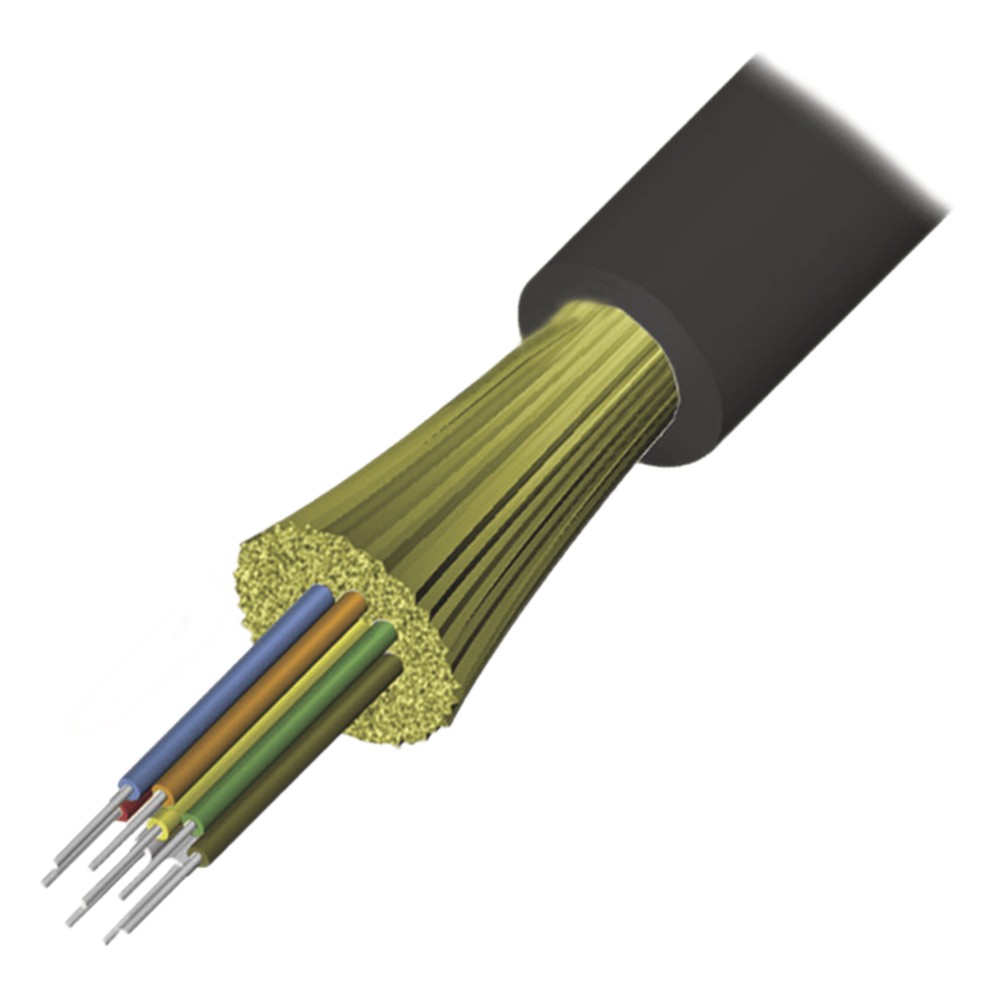 Cable de Fibra Óptica / 12 Hilos / OM4 50/125 / Tight Buffer / Dieléctrico Plenum / Interior-Exterior / 1 Metro (3.28 Pies) — SIEMON · SKU 9GD5P012G-T501A