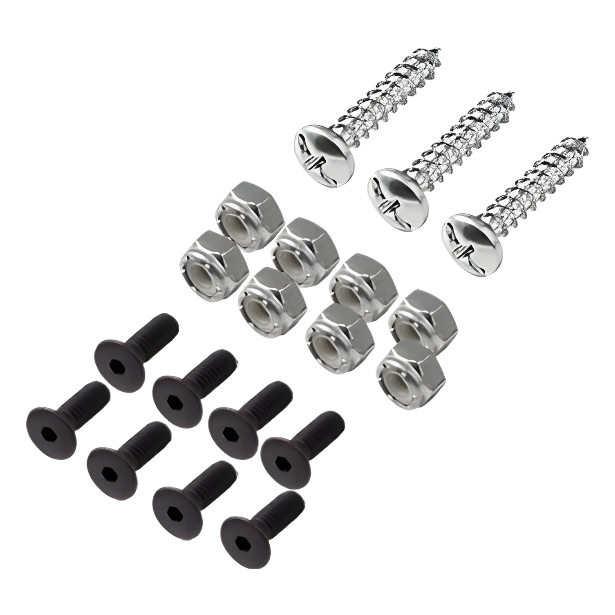 Kit de Instalación para Chapa Magnética / 19 Piezas / Tornillos Socket Flat 6/32 / Tuercas Insertables 6/32 / Tornillos Busca Rosca 8 x 3/4 — ACCESSPRO · SKU PRO-BL300T