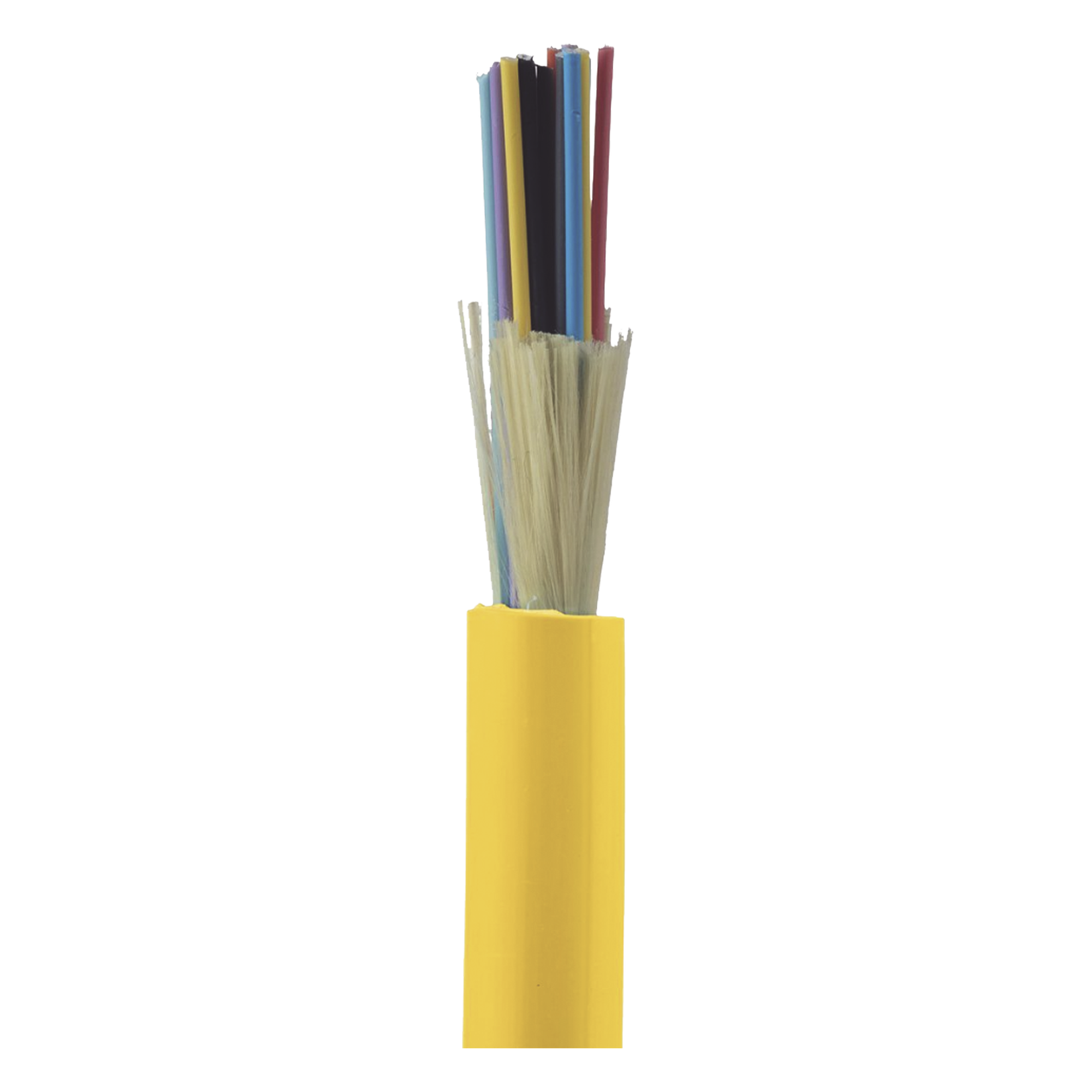 Cable de Fibra Óptica / 24 Hilos / Monomodo OS2 9/125 / Interior / Tight Buffer 900µm / OFNP Plenum / Dieléctrico / 0.61 m (2 ft) Incrementos — PANDUIT · SKU FSDP924Y
