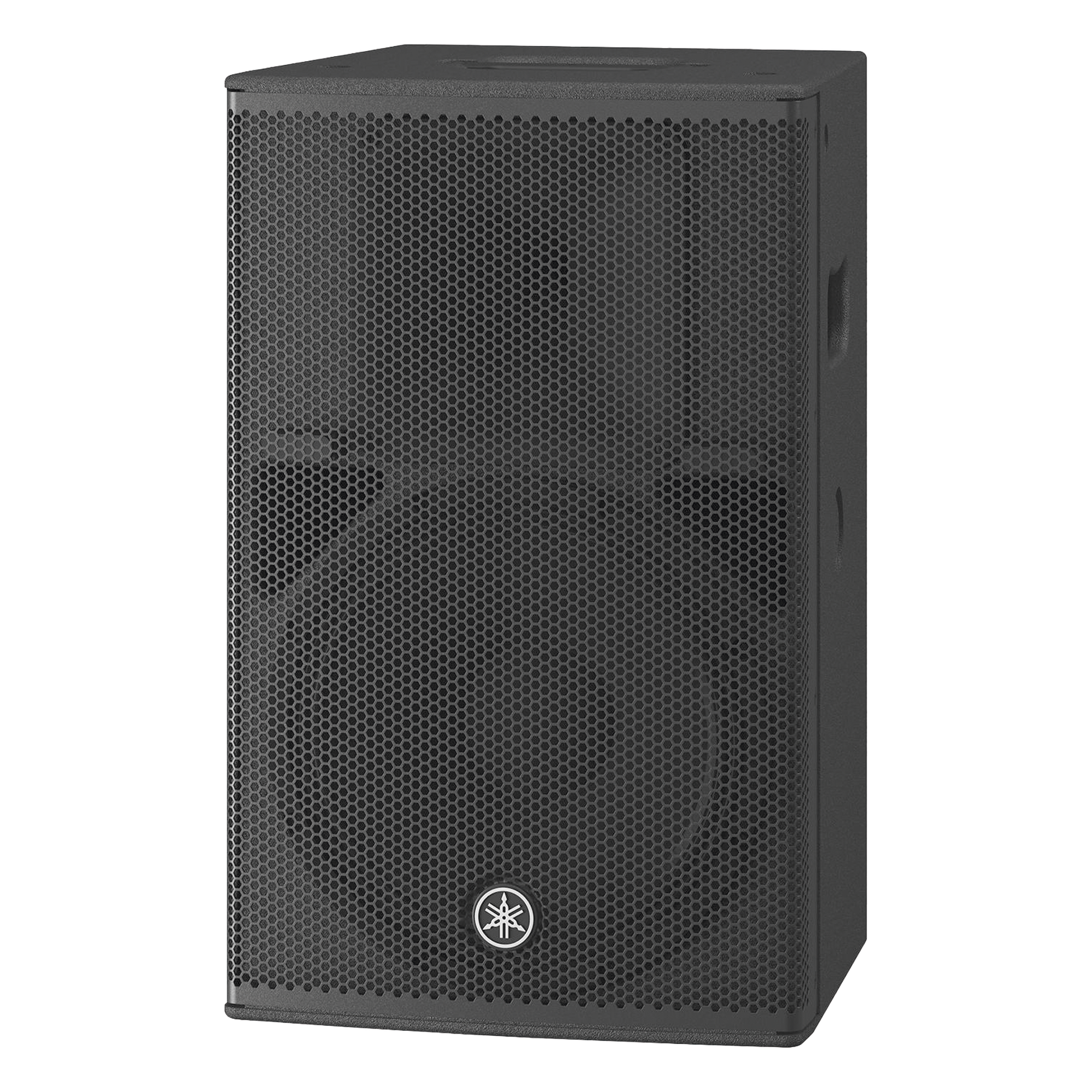 Altavoz Amplificado 12 in | Potencia: 1000w | Amplificacion Clase-D | Hecho en Madera | Para aplicaciones de Instalacion y Refuerzo Sonoro