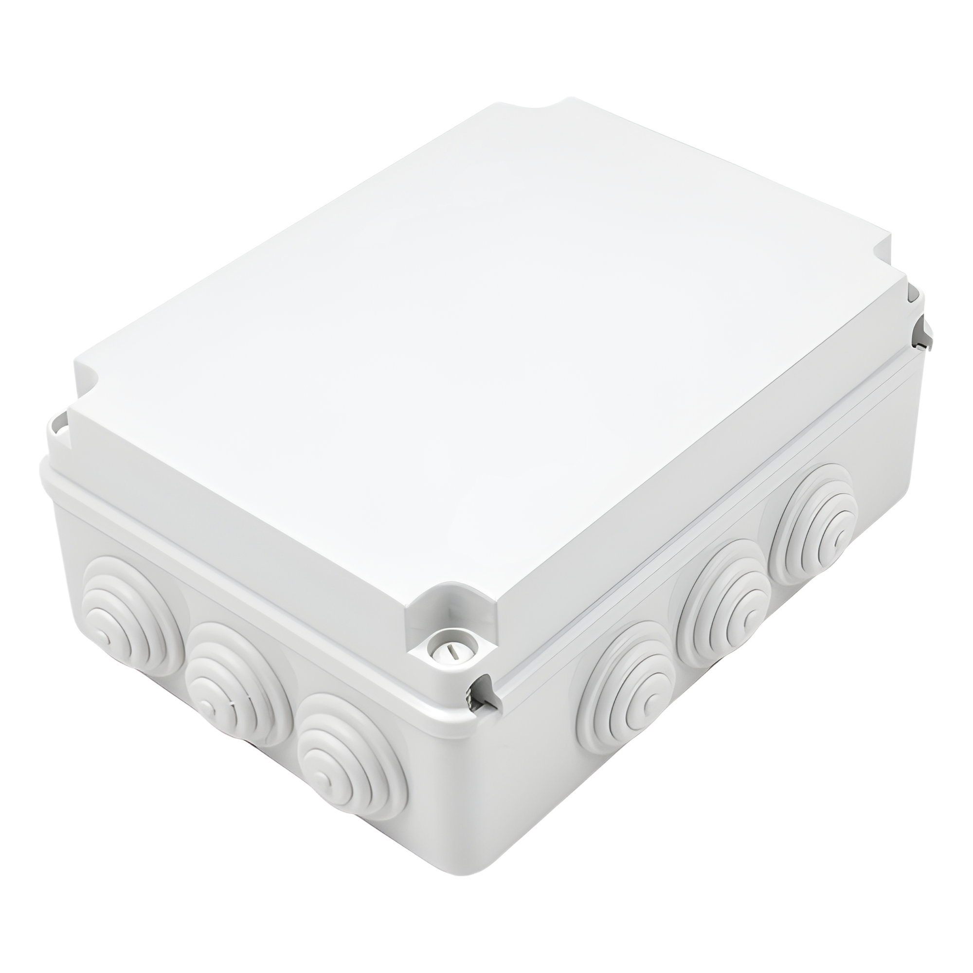 Caja Estanca de Derivación / PVC Autoextinguible Libre de Halógenos / 12 Entradas / IP55 / IK08 / 300x220x120 mm / -24°C a 60°C — GEWISS · SKU GW-44-009