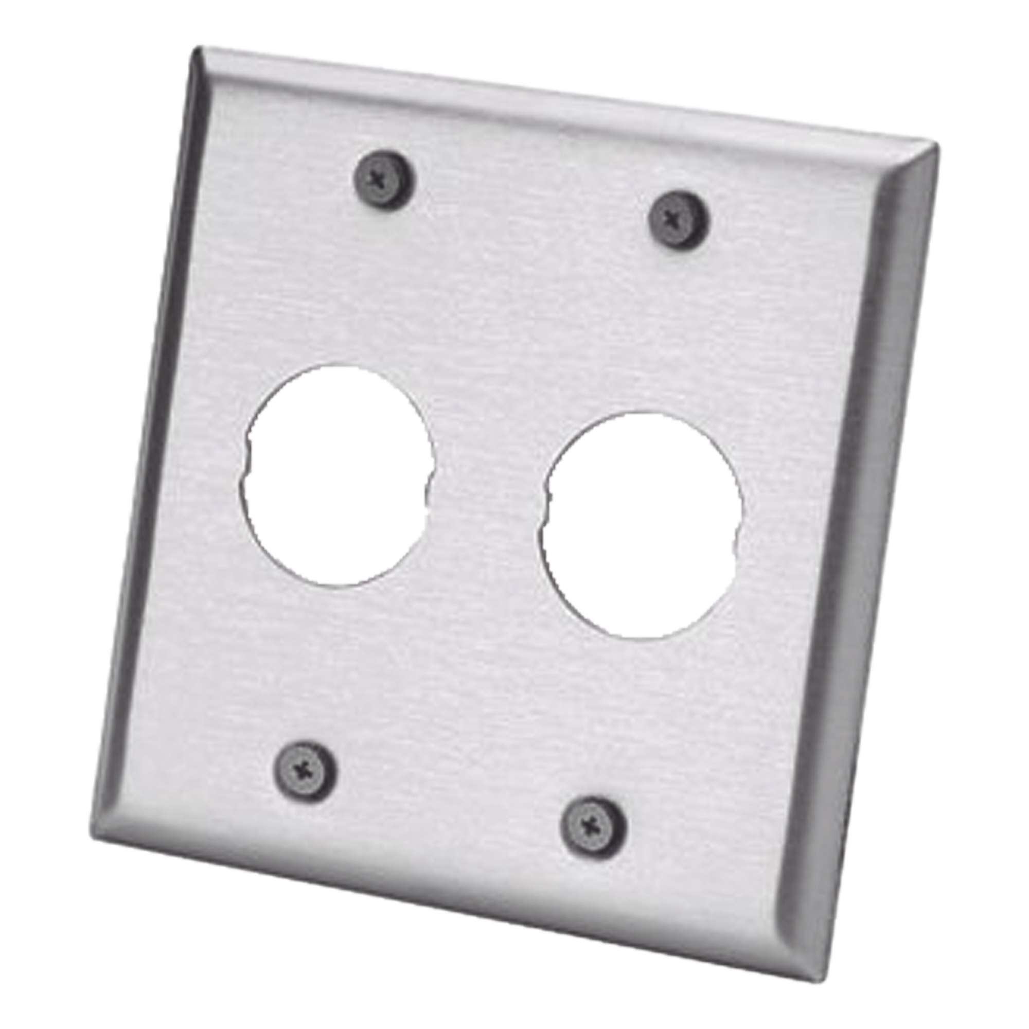 Placa de Pared Doble Industrial / 2 Puertos / Acero Inoxidable / 4.59x4.5x0.16 in / Montaje Vertical — PANDUIT · SKU IAEFP2-2G