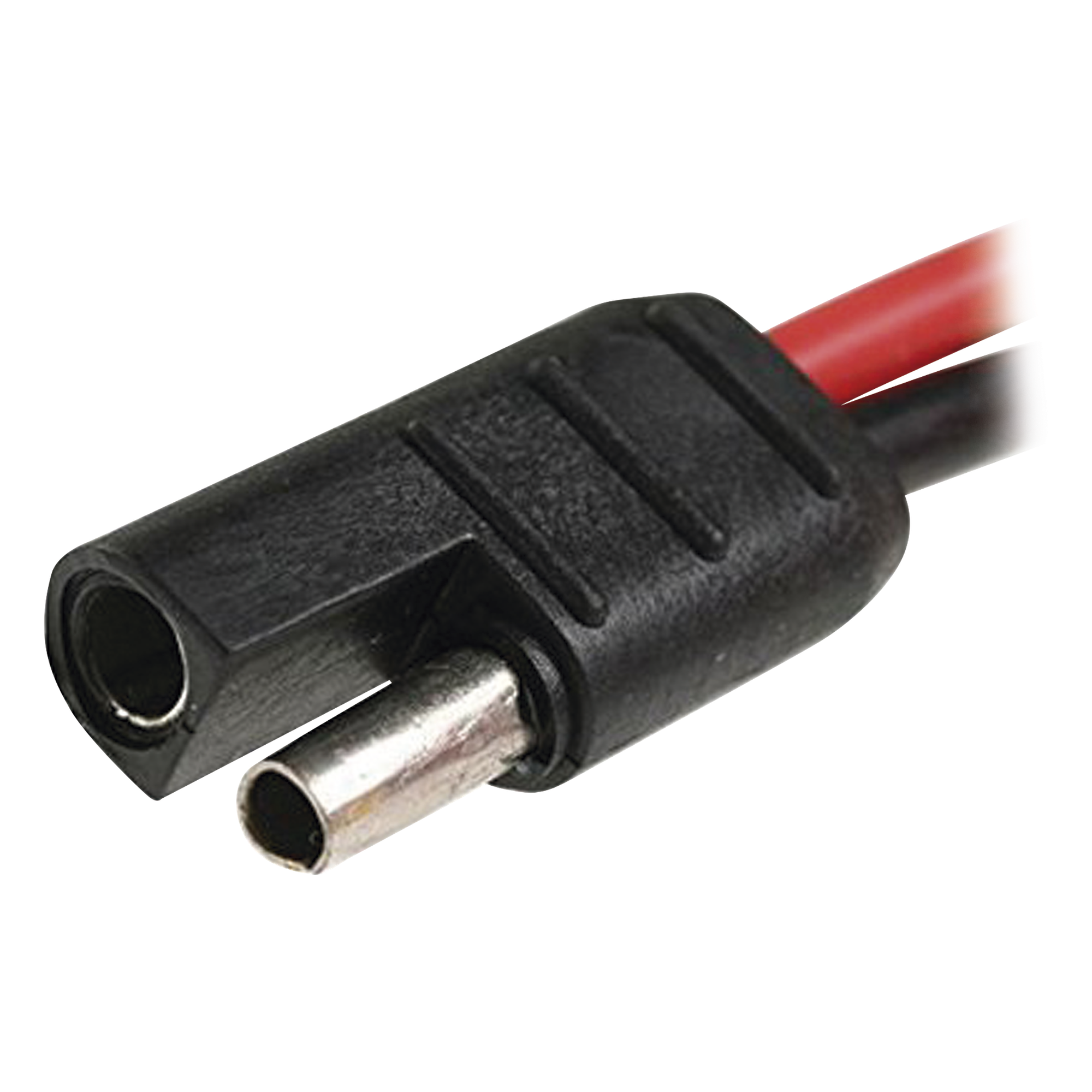 Arnés de Corriente / 12 V / 20 A / Cable 3 m (9.8 ft) / 14 AWG / Portafusible 15 A