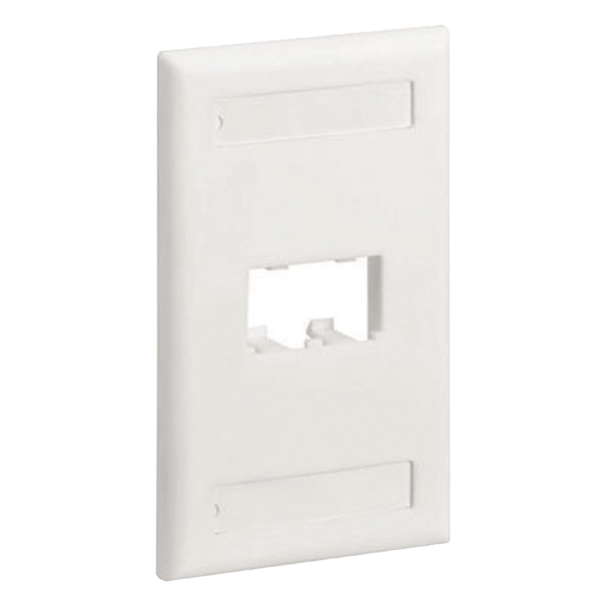 Placa de Pared Vertical / 2 Puertos Mini-Com / Diseño Plano / Espacios para Etiquetas / 2.75 x 4.5 pulgadas / Blanco Mate — PANDUIT · SKU CFPL2IWY