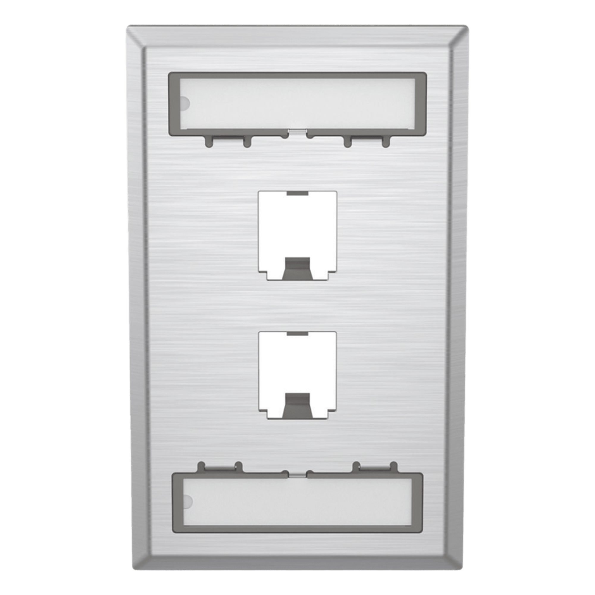 Placa de Pared Vertical / Acero Inoxidable Grado 304 / 2 Puertos Mini-Com / 2.75 x 4.5 in / Espacios para Etiquetas — PANDUIT · SKU CFPL2SY