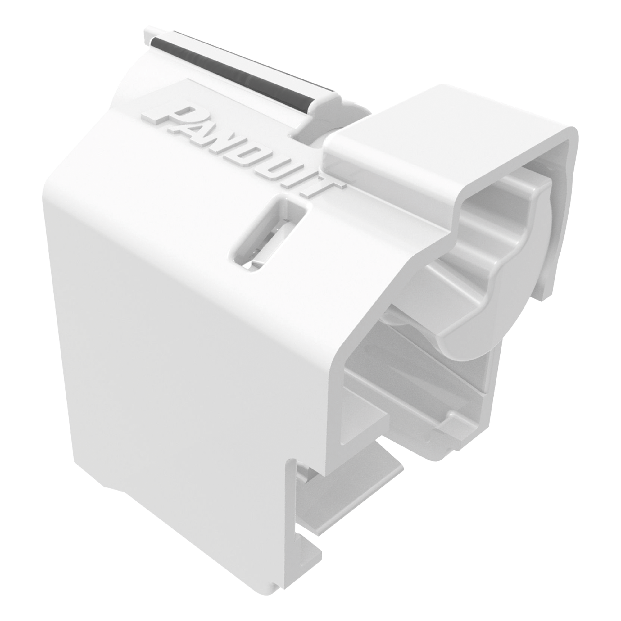 Dispositivo de Fijación RJ45 / Policarbonato y Nylon / 10 Unidades con Llave / 8 Colores Disponibles — PANDUIT · SKU PSL-DCPLE-IW