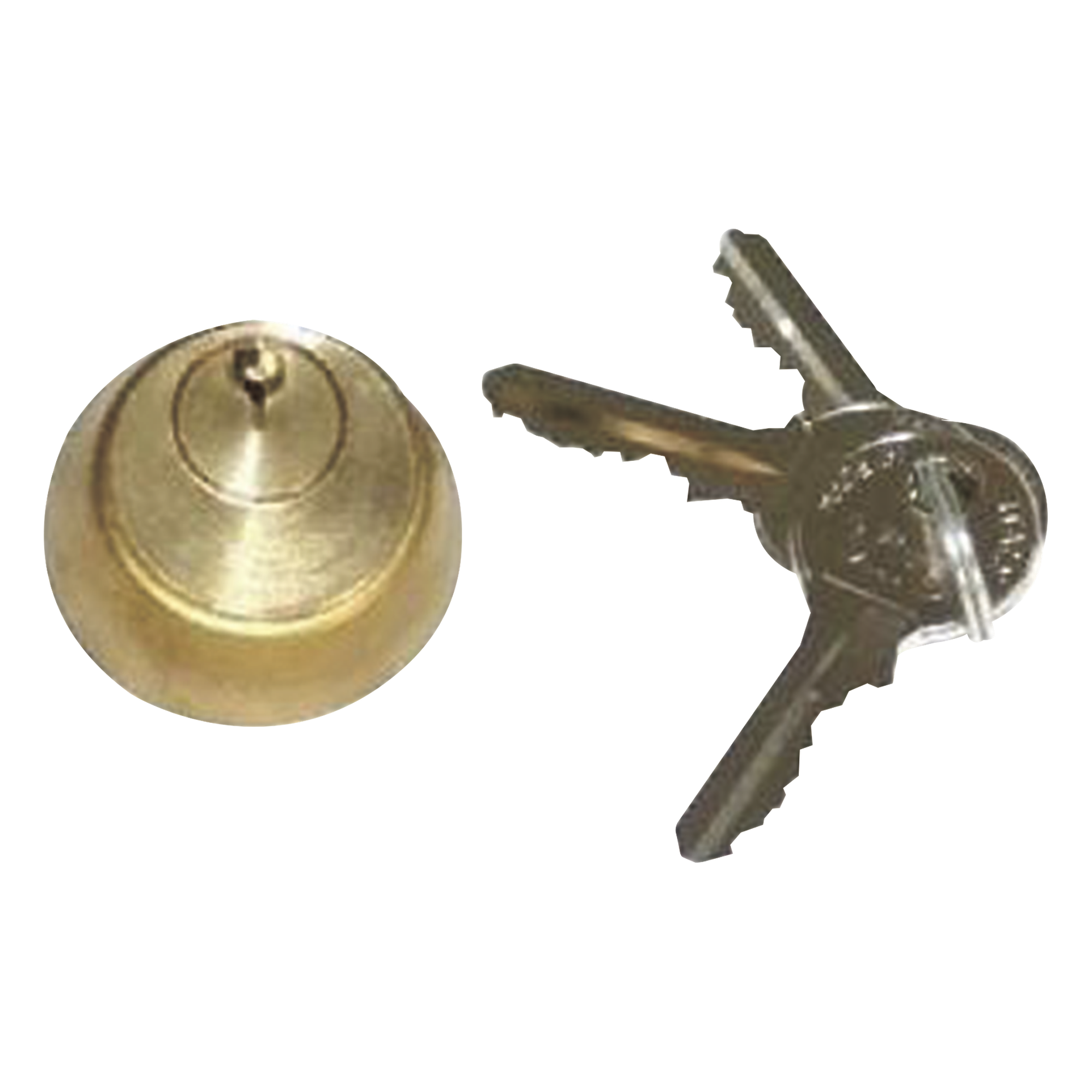 Cilindro interno para electrocerradura / Acero inoxidable / IP67 / 110V / 60W / 800 kg / 2-4 m (6.6-13.1 ft) — FAAC · SKU 712651001