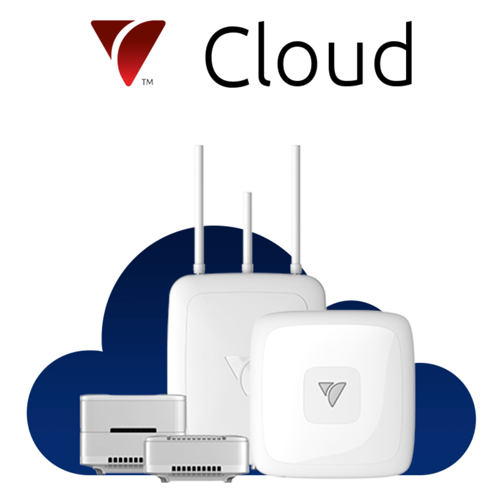 Suscripción Cloud / Gestión Remota VeeaHub / Telemetría en Tiempo Real / Actualizaciones OTA Automáticas / Soporte Técnico Continuo / 1 Año — VEEA · SKU VEEA-CLOUD-1YR