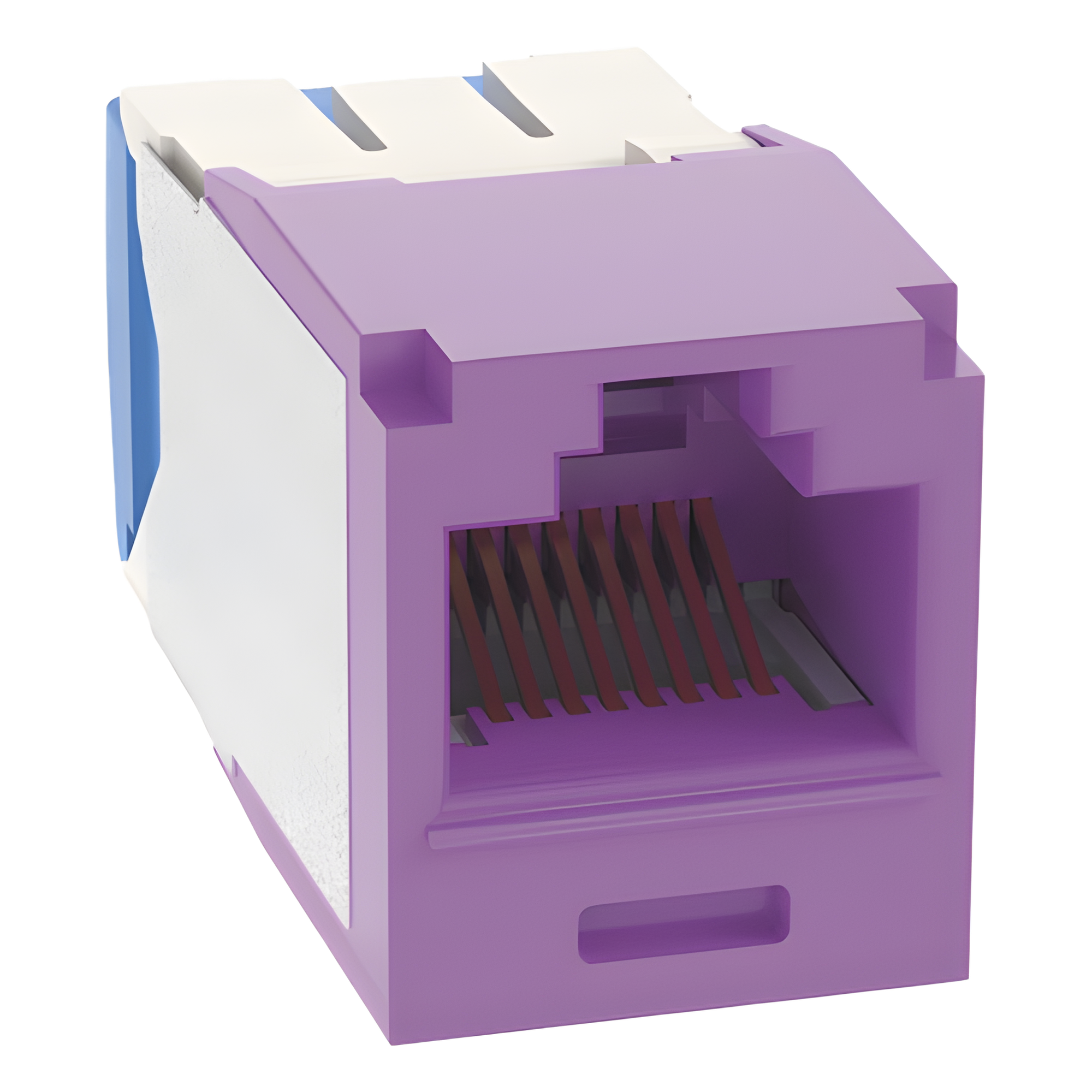 Jack RJ45 / Cat 6A / UTP / Sin herramienta de impacto / 22-26 AWG / Violeta — PANDUIT · SKU CJ6X88TGVL