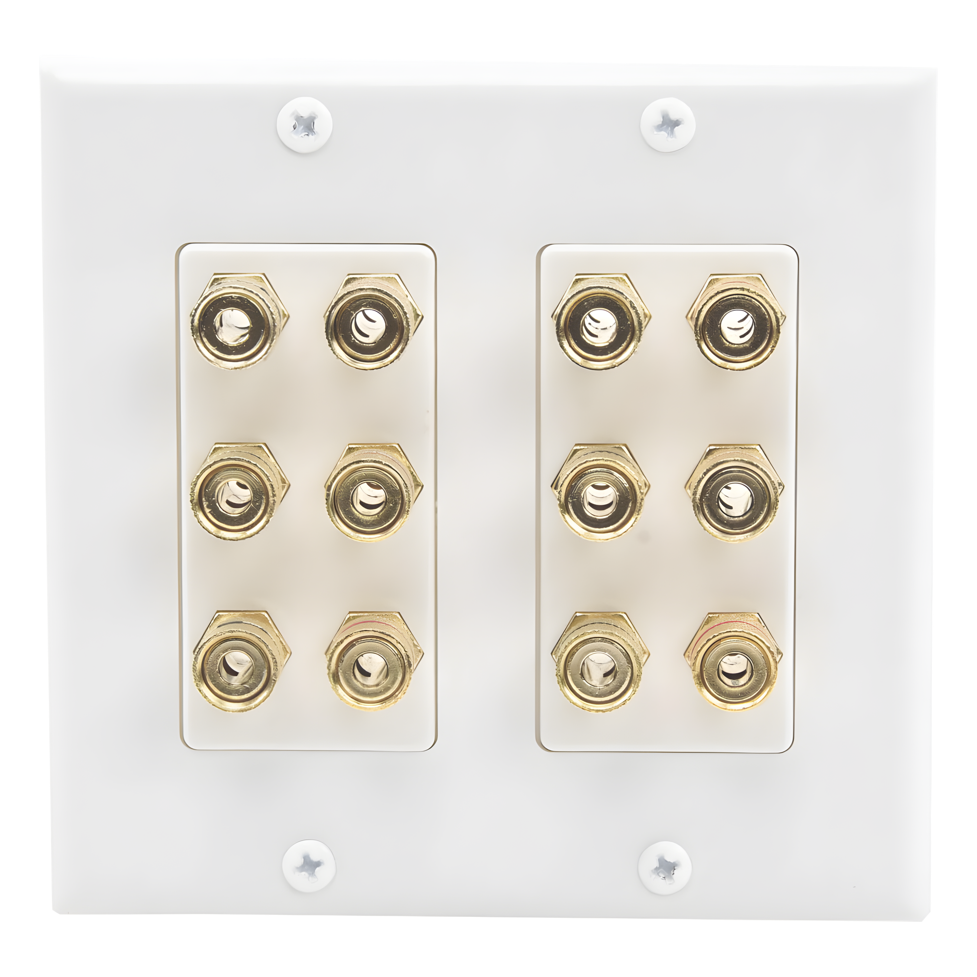 Placa de Pared para Altavoces / 12 Postes Tipo Banana / 6 Canales / Conectores Chapados en Oro / Instalación sin Soldadura — EPCOM PROAUDIO · SKU EP-WP6S