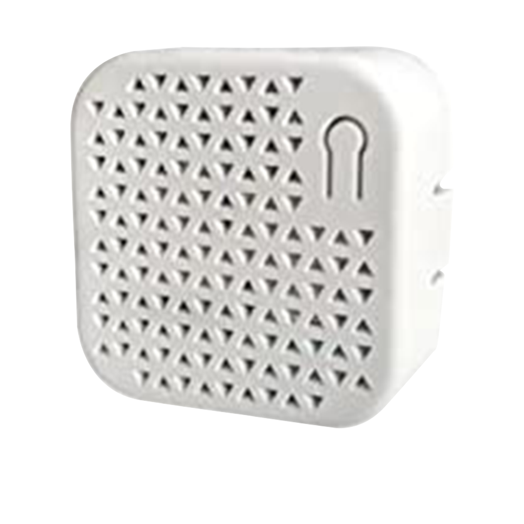 Microdimmer Inalámbrico / 2 Canales / 250 W por Canal / RF 343 MHz / Alcance 20 m (65.6 ft) / Control por Voz / Compatible Hub Inteo — SOMFY · SKU 1822537