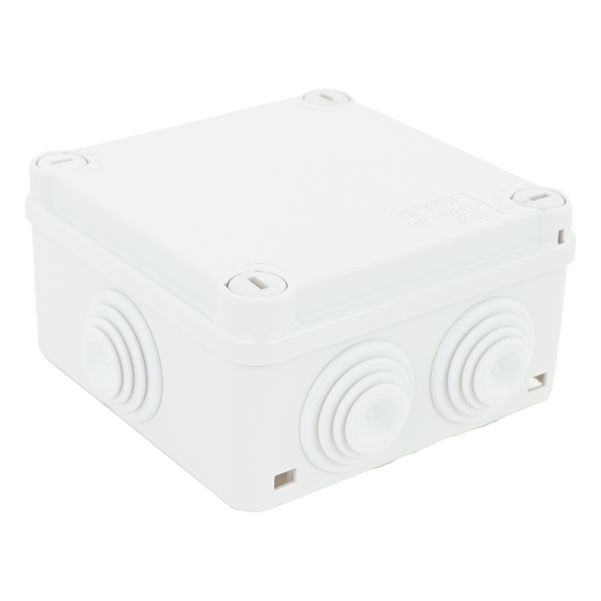 Caja de Derivación Estanca / 6 Entradas / IP55 / IK08 / 100x100x50 mm / Libre de Halógenos / -24 a 60°C — GEWISS · SKU GW-44-024